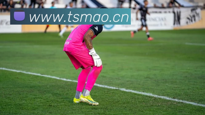 千亿·球友会(中国)官方网站平台生态图